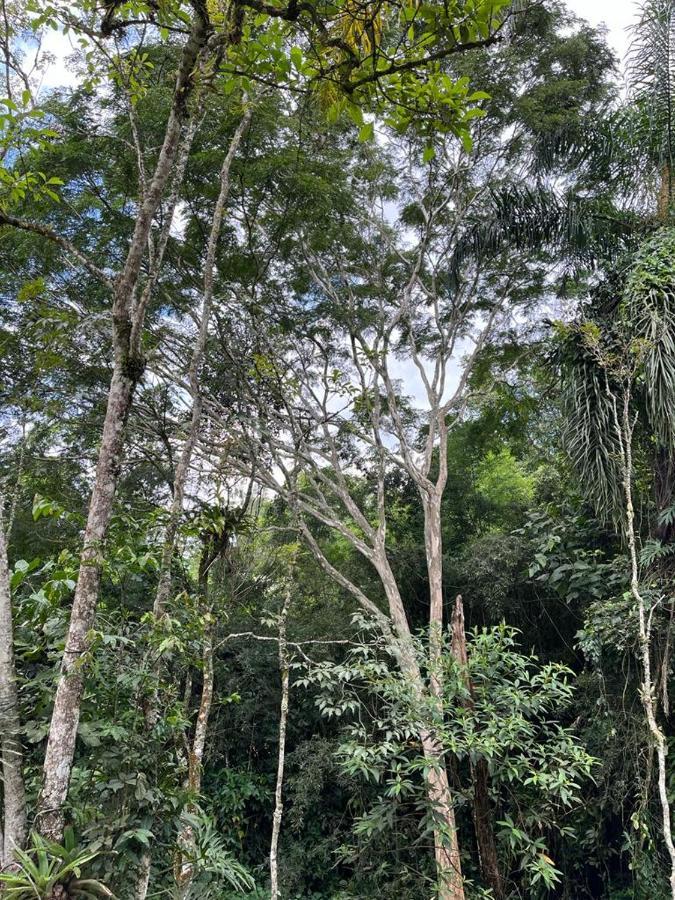 Sitio Serenar Chales Equipados Penedo  Exteriör bild